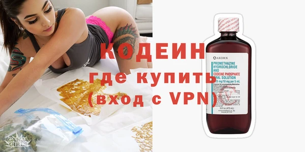 прущие грибы Вяземский
