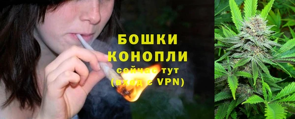 2c-b Богданович